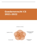 Samenvatting  Goederenrecht C.S. (RGMPR00306)