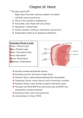 Summary of Chapter 18 Human Anatomy & Physiology, Anatomy and Physiology II (BIOL2304)