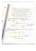 Organic Chemistry 353 Exam 1 Prep