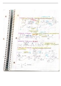 Organic Chemistry 353 Exam 1 Prep Functional Group, Reaction Mechanisms