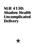 NUR 4130 Shadow Health Uncomplicated Delivery