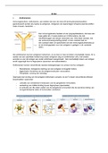 Samenvatting celcultuur en immunochemie 3 delen