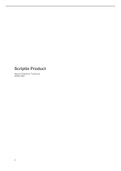 Scriptie Product Creative Business | Cijfer 6,5