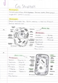 AQA AS level Biology Notes- Cell structure part 1
