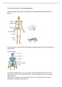 Samenvatting anatomie OVV1 uva geneeskunde deel 2