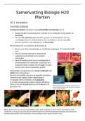 Samenvatting Biologie Planten 6VWO