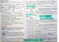 2023 A-LEVEL OCR A Physics - Newtonian world and Astrophysics - clear concise course notes