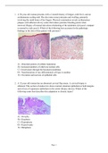 Rubin’s pathology - Exam Preparation Test Bank (Downloadable Doc)