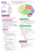 Samenvatting  neuro-anatomie (1074FBDBMW)