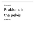 Theme 10: Problems in the pelvis. A complete summary of all exam material!