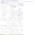 Lecture notes - MAC4862 