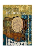 Essential Cell Biology 4th Edition Bruce Alberts Test Bank ISBN:978-0815345251|Complete Guide A+
