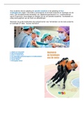 Anatomie en Fysiologie (deel 1 & 2) voor operatieassistenten! Voordeel bundel :)