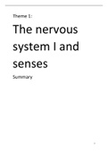Thema 1: Het zenuwstelsel I en zintuigen. Een complete samenvatting van alle tentamenstof!