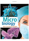 Microbiology Basic and Clinical Principles 1st Edition Norman McKay Test Bank