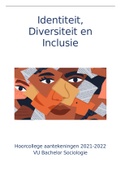 College aantekeningen Identity, Diversity and Inclusion (2021-2022)