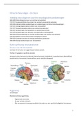 Neurokinésitherapie 1; Samenvatting klinische neurologie (Dedeyn)