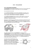 Samenvatting H13 - Zenuwstelsel, Biologie VWO 5