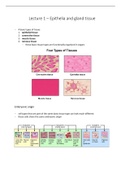 Histology + Cell Biology (AB_1138): Summary (VU Amsterdam)