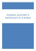 GENERAL ANATOMY &  PHYSIOLOGY OF A HUMAN