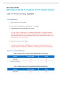 BIO 202L Lab 14 Worksheet- The Urinary System1.	What is the function of the ureter?