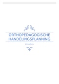 Samenvatting orthopedagogische handelingsplanning 