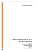 verslag: 2.1.4 Positioneren in het sociale domein (cijfer 7.8!!!)