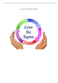 Lean Six Sigma Guide