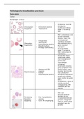 Samenvatting pathologische bloedbeelden_practicum hematologie 2_3MLT