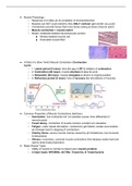 BIL150 Muscle Physiology Lecture Notes for the Final Exam