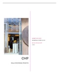 Notities Crossmediale Projecten (CMP) 