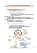 samenvatting neurologie