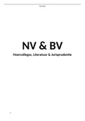NV & BV + De Rechtspersoon