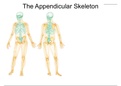 APPENDICULAR SKELETON.pdf APPENDICULAR SKELETON (1).pdf SKULL.pdf PTERYGOPALATINE FOSSA.pdf INTRODUCTION TO ANATOMY.pdf INFRATEMPORAL FOSSA.pdf Facial Skeleton.pdf Facial Skeleton (1).pdf CRANIUM.pdf Cranium and axial skeleton.pdf Cranium and axial skelet