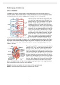 Samenvatting van alle colleges van MG circulatory tract
