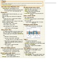 BIS 2A Lecture Notes (Midterm 2 Material)