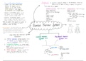 Biology Grade 11 Mindmap Notes