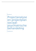 Projectanalyse en projectplan van praktijkleer jaar 3
