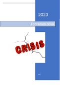 Crisis conceptueel jaar 2 