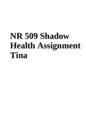 NR 509 Shadow Health Assignment Tina
