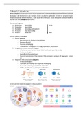Samenvatting Immunologie & Infectie 8TC00 2022-2023