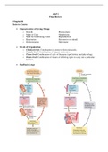 BIOS 251 Final Exam Study Guide ((MIDTerm -Final) Version-1) / BIOS251 Final Review (Latest ): Anatomy and Physiology I:  Chamberlain College of Nursing