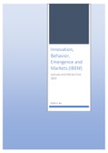 Summary  Innovation, Behavior, Emergence and Markets (IBEM) - 2023