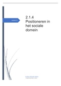 2.1.4 Positioneren in het Sociale Domein Social Work (cijfer: 9!!!)