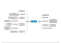mindmap samenvatting organisatiemanagement