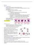 Summary BBS1002 - Homeostasis and organ systems 