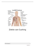 Ziektebeeld werkstuk VP ziekte van Cushing (uitgebreid)