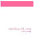 samenvatting human rights law: documenten op toledo +pp + lesnotities 14/20