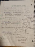 Handwritten Notes for Human Physiology 210B