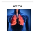 Verslag Biologie Astma